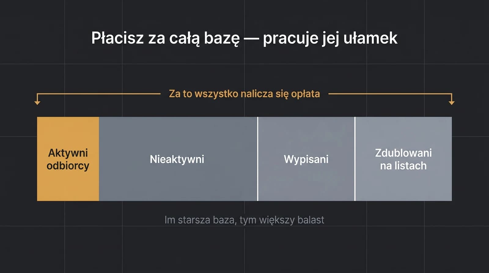 Wizualizacja bazy mailingowej jako paska: mały aktywny fragment odbiorców oraz duże segmenty kontaktów nieaktywnych, wypisanych i zdublowanych — opłata naliczana jest od całej listy, mimo że pracuje tylko jej aktywna część.